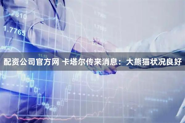 配资公司官方网 卡塔尔传来消息：大熊猫状况良好