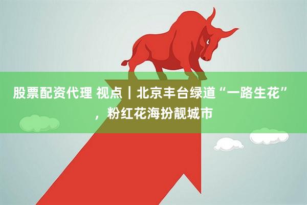 股票配资代理 视点｜北京丰台绿道“一路生花” ，粉红花海扮靓城市