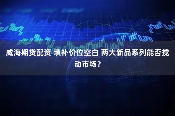 威海期货配资 填补价位空白 两大新品系列能否搅动市场？